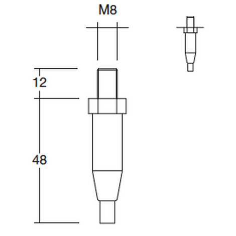 Ceiling gripper